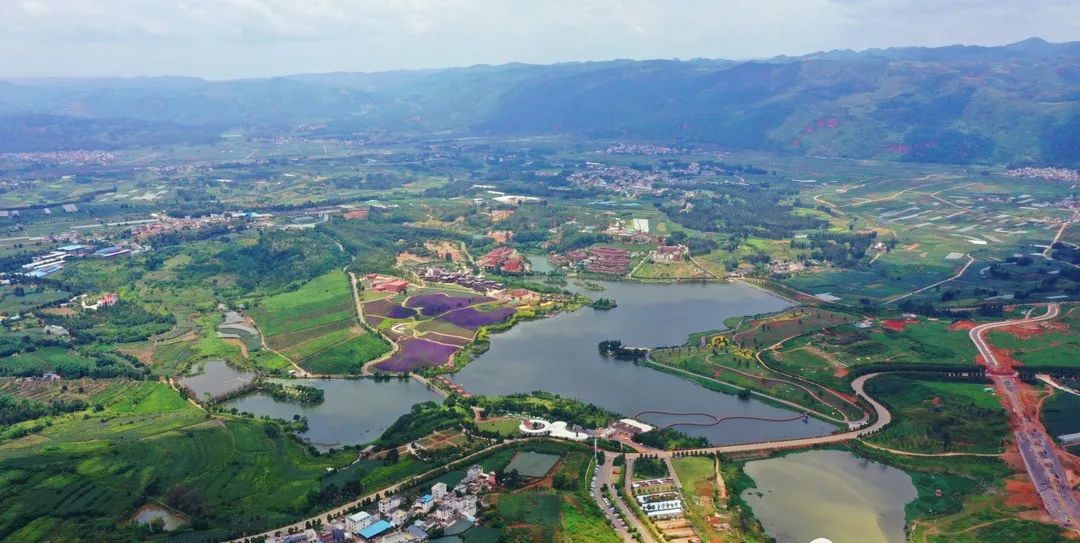 近日,东风农场大棚葡萄大量上市,采摘,收购……整个东风一片农忙景象.