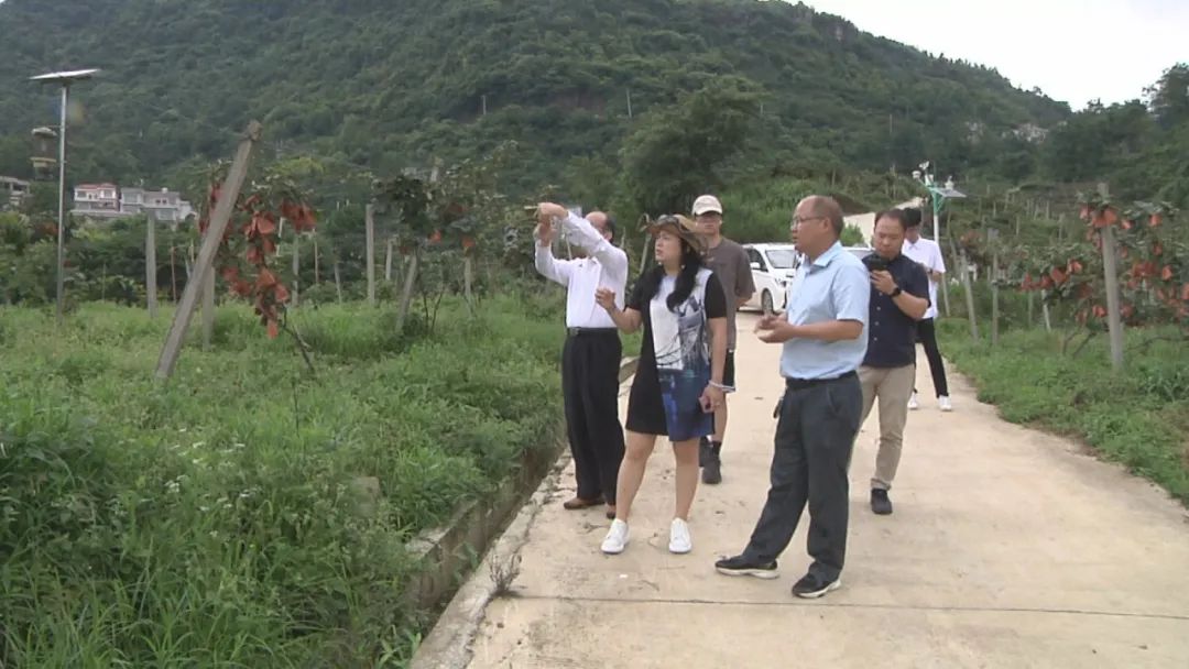 【东西部协作】广州市花都区秀全街道办赴关岭开展结对帮扶调研 澎湃号·政务 澎湃新闻 The Paper