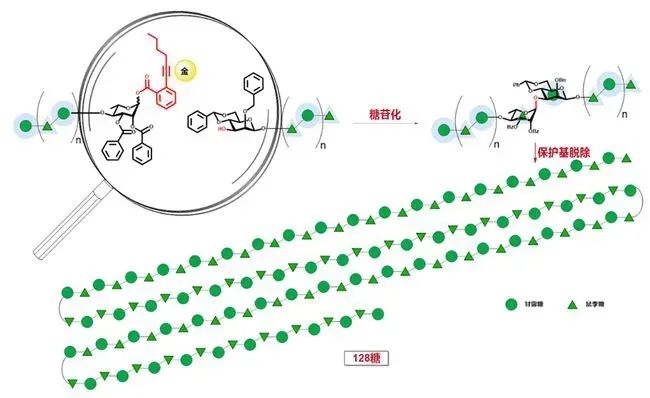 学党史忆侨史90俞飚第一位荣获惠斯勒糖化学奖的中国学者