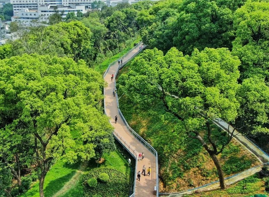 白云人家门口的绿道原来还有这些玩法