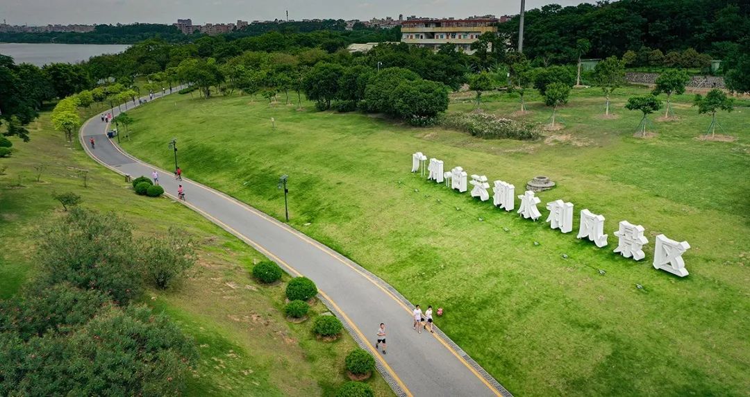 白云人家门口的绿道原来还有这些玩法