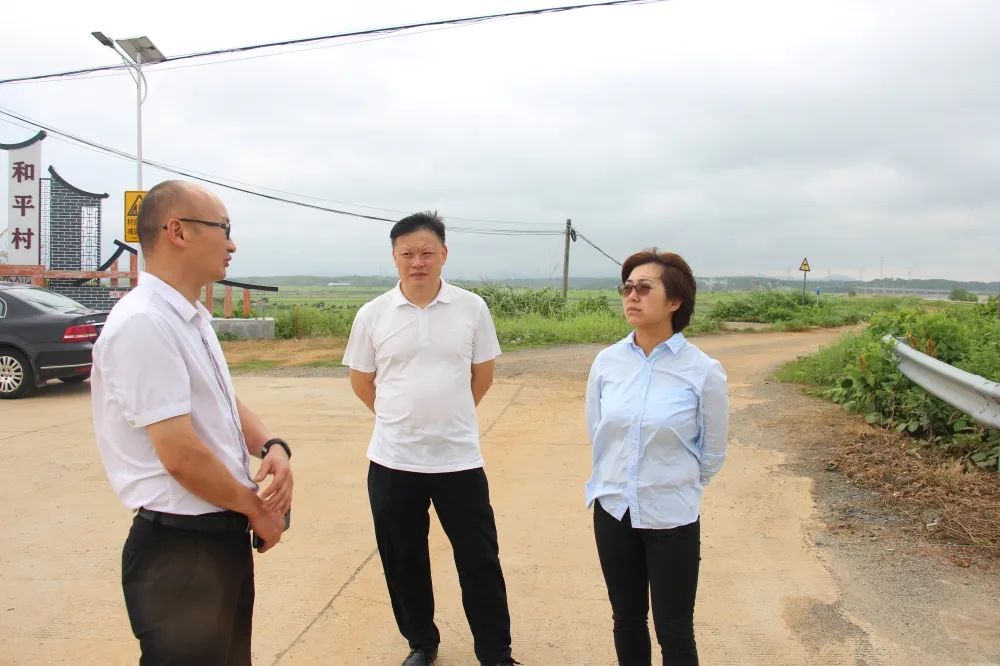 闻汛而上共青城市法院院长张丽敏深入防汛一线调研指导工作