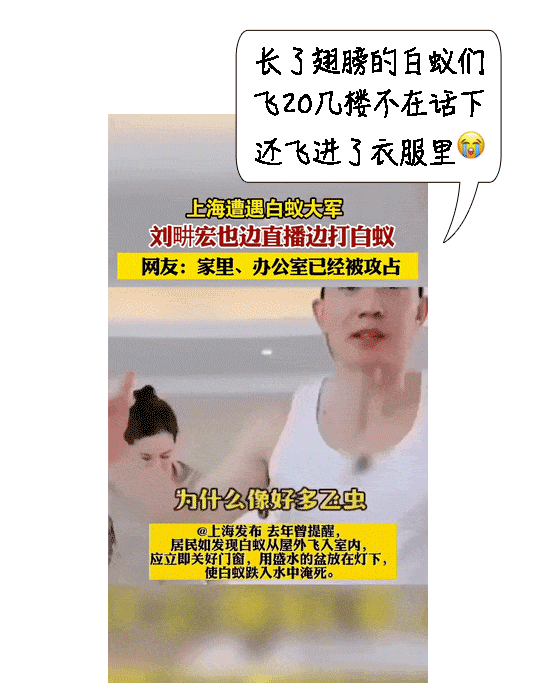 密密麻麻,此虫多地爆发!钻衣服、拆你家…遇到千万别这样做