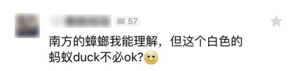 密密麻麻,此虫多地爆发!钻衣服、拆你家…遇到千万别这样做