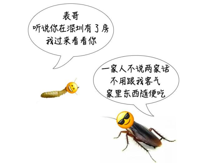 密密麻麻,此虫多地爆发!钻衣服、拆你家…遇到千万别这样做