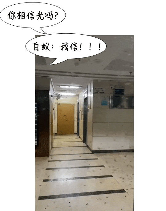 密密麻麻,此虫多地爆发!钻衣服、拆你家…遇到千万别这样做