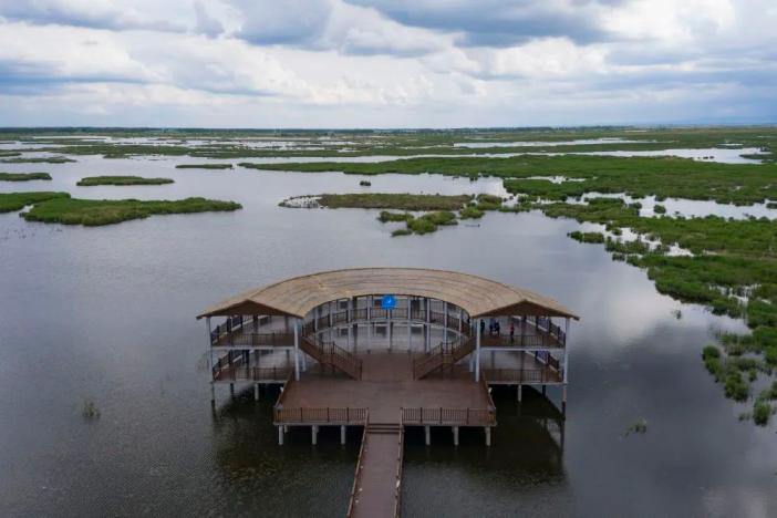 七星河国家级自然保护区夏日风光美