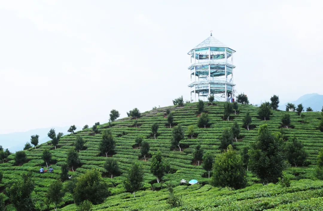 乐享云南美景61芒市孔雀谷森林公园