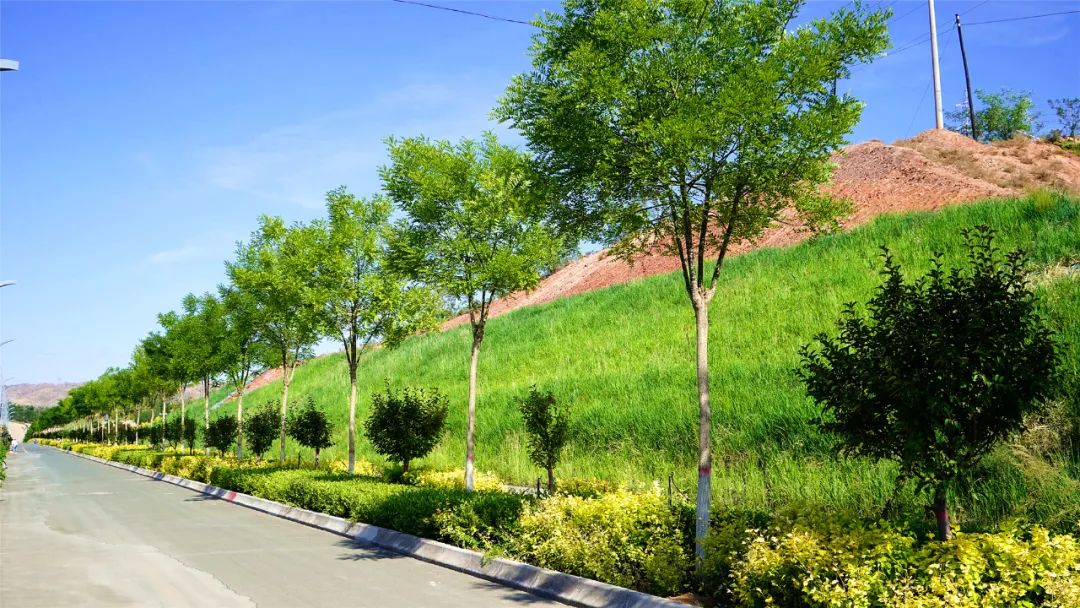 小麻袋里出匠心白银区北环路边坡整治造绿景