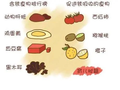 儿童缺铁性贫血:食补还是药补?_澎湃号·湃客_澎湃新闻-the paper