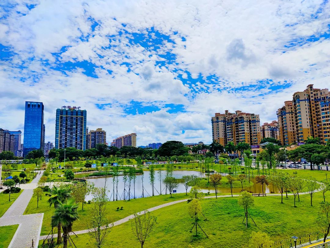 威好的天气让大家外出的心情多添几分愉悦△早晨的龙背岭广场大榕树下