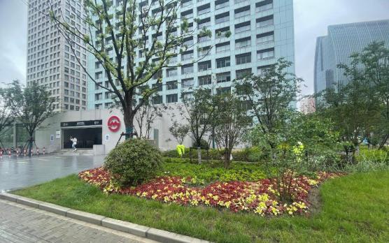 沪轨交18号线(莲溪路站至民生路站)站点绿化恢复工程竣工