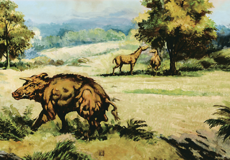 临夏灿烂文化系列画册之临夏和政古生物化石