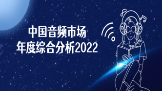 2022年中国音频市场年度综合分析