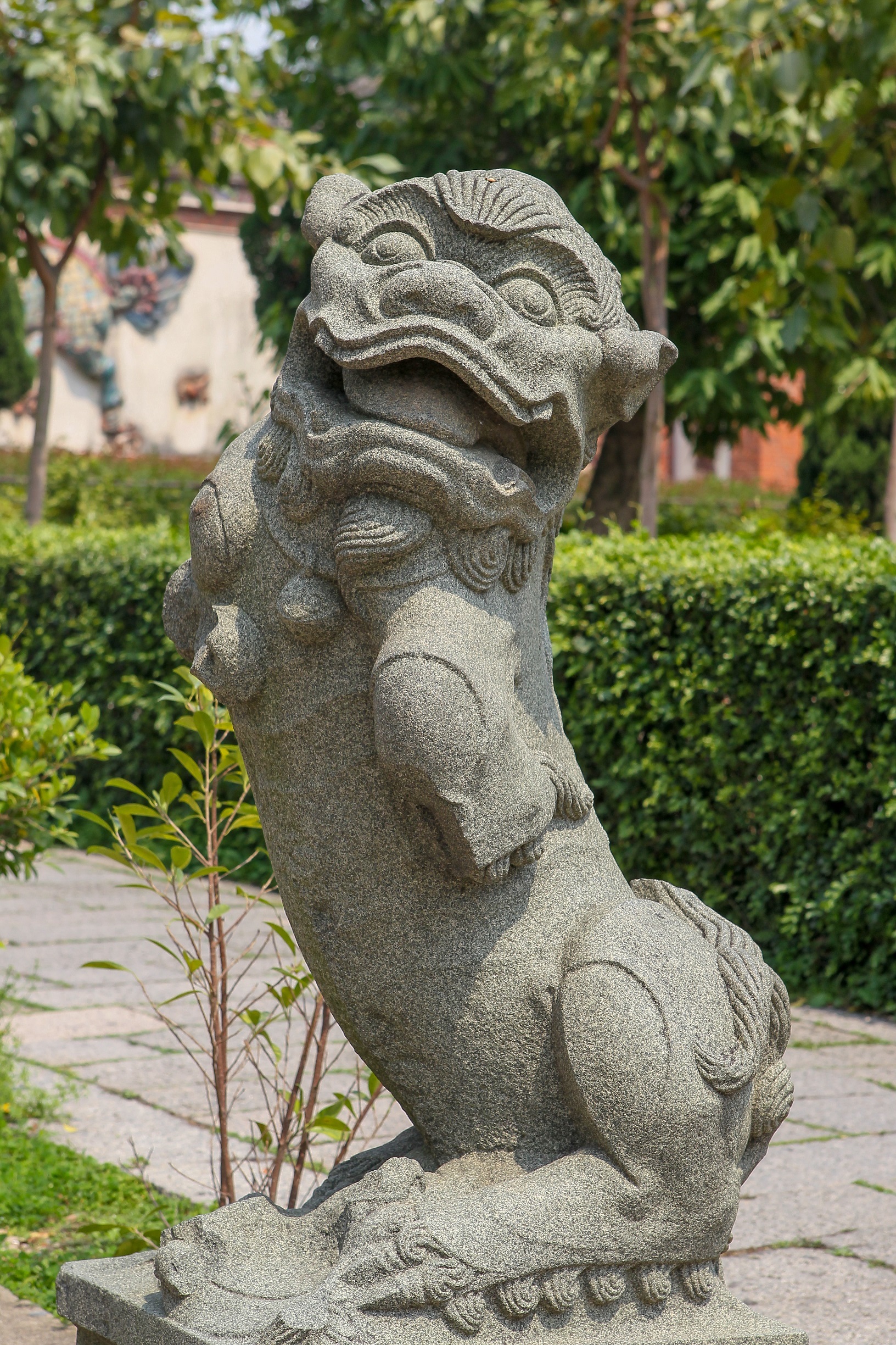 泉州开元寺的石狮子(陈英杰 摄)