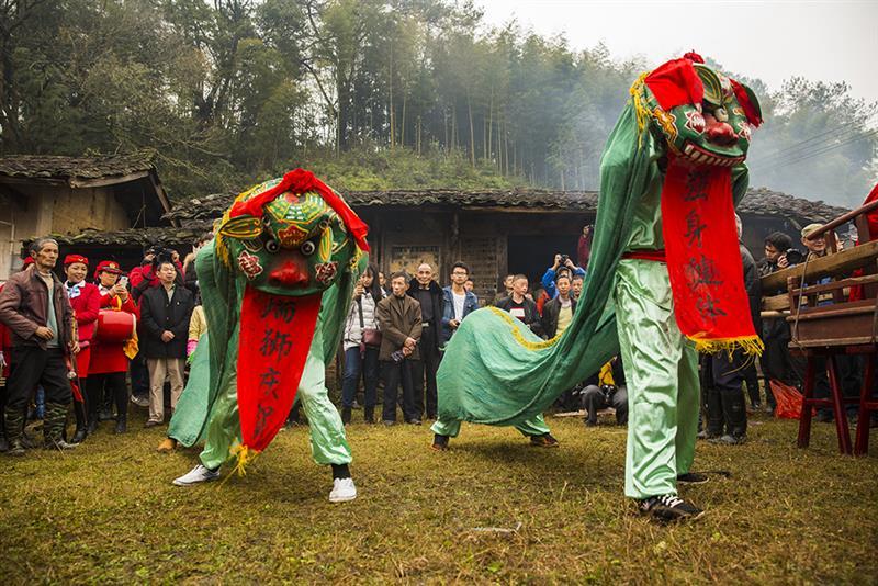 龙岩客家舞青狮(来源:中国摄影报,作者:向阳花)