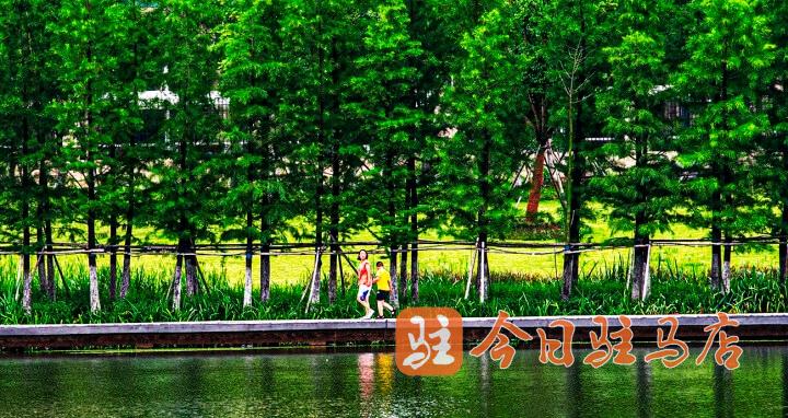 驻马店:人民公园的夏季 一幅人与自然的新画卷_澎湃号·媒体_澎湃新闻