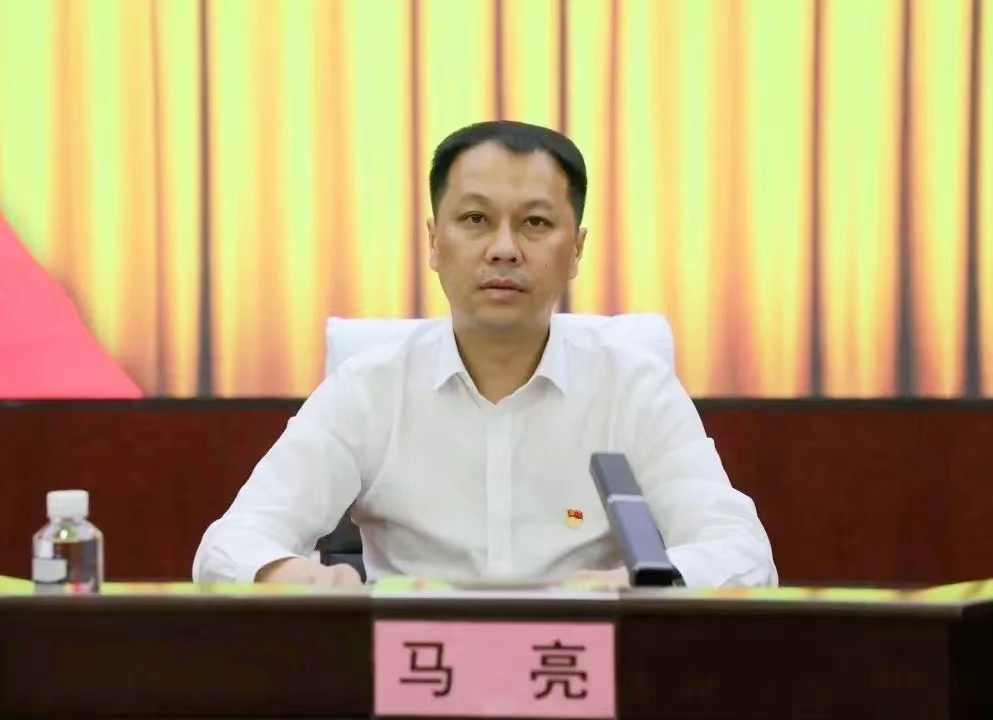 能力作风建设年海伦法院党组书记院长马亮讲授专题党课