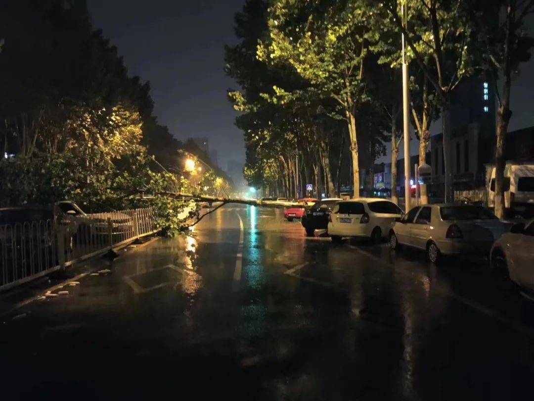 马路上下雨的真实照片图片