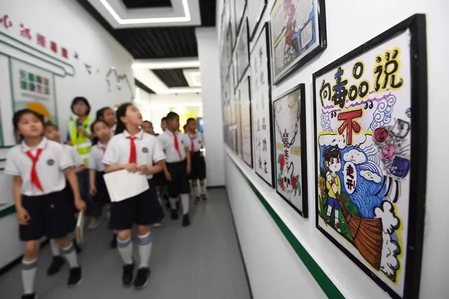 新时代、新阶段如何抓好禁毒工作？委员专家解读来了(图2)