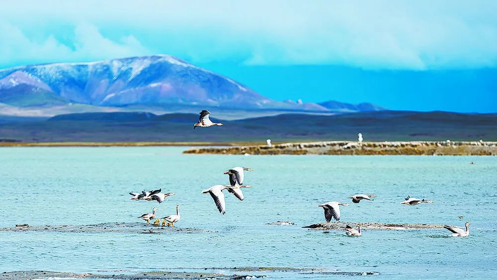 三江源国家公园水三江源我国重要的淡水供给地数亿人的生命之源