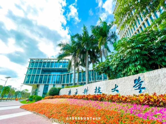 上大學南方科技大學一路向南志在科技報國