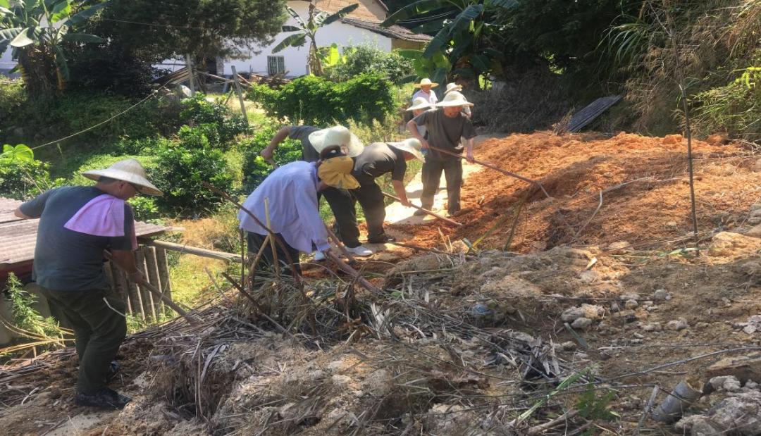 【青年干部“四下基层”实践锻炼】在实践中增长才干，在笃行中砥砺青春 澎湃号·政务 澎湃新闻 The Paper