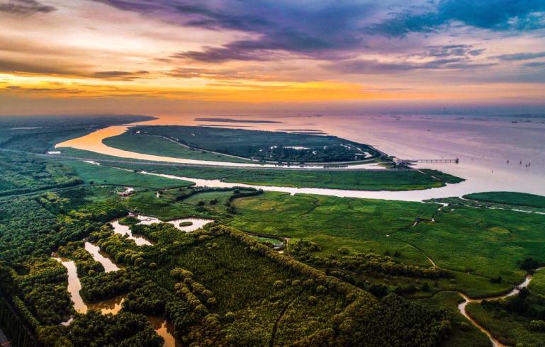 崇明区党代表认真审议市党代会报告