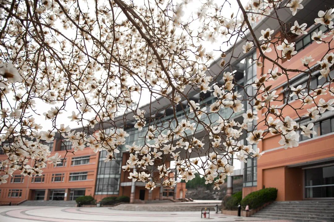 山东建筑大学欢迎您!2022年省内考生报考建议来啦!