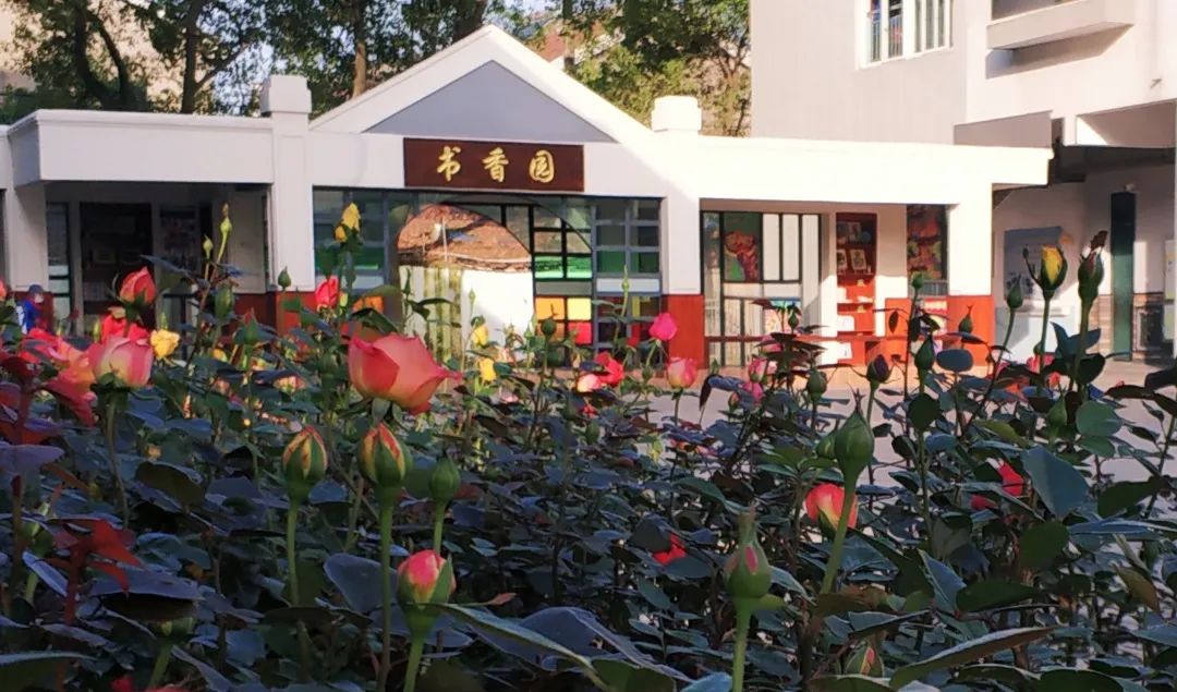 梦想书房澥小书香园成新晋打卡地