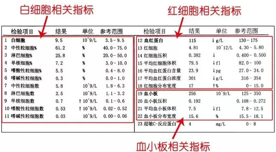 血常规3个曲线图图片