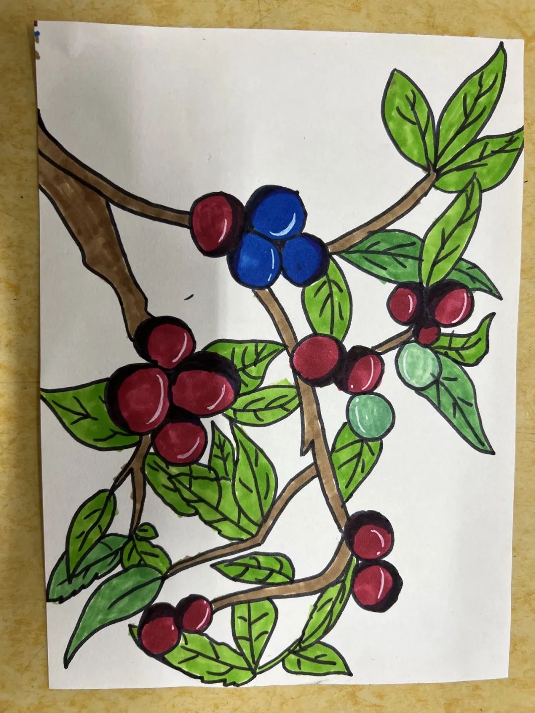 儿童友好│六月有李劳有所获瓯海学校少年宫红叶李采摘活动