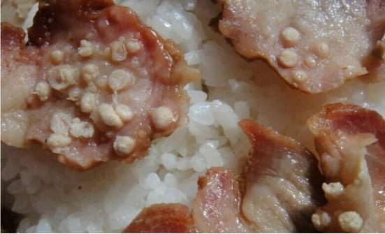 六钩蚴,并经血液移动至肌肉中发育成囊尾蚴,这样的猪肉被称为"米猪肉"