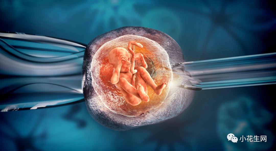 反堕胎派:如果你怀孕了但不想养育这个孩子,你可以交给别人领养.