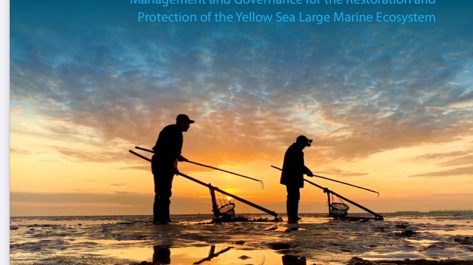 构建黄渤海斑海豹海洋保护地网络，获GEF黄海生态恢复项目大力肯定 | 绿会研究室