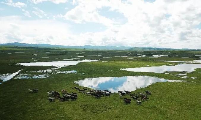 位于青藏高原东端的甘肃省甘南藏族自治州玛曲县,是黄河上游