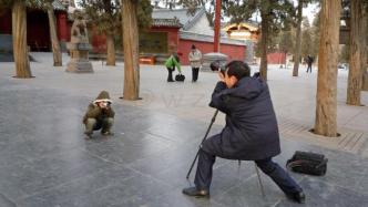初访少林寺：被关在了山门外，山门照片屡被盗用，摄影师受益
