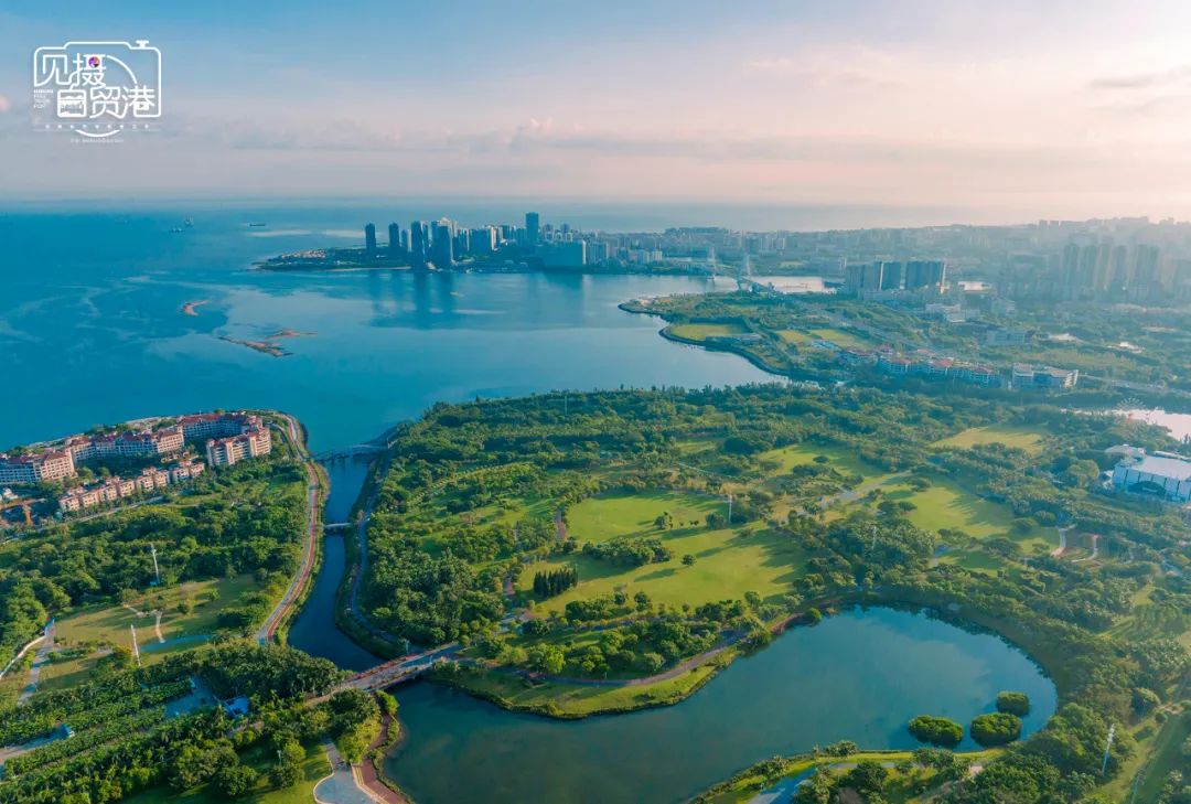 见摄自贸港丨畅通海口湾，极目好风光！_澎湃号·媒体_澎湃新闻-The Paper