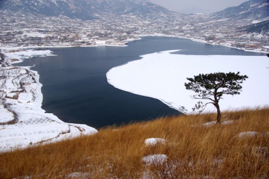 100个视角看昌黎碣阳湖一汪有生命与底蕴的碧水