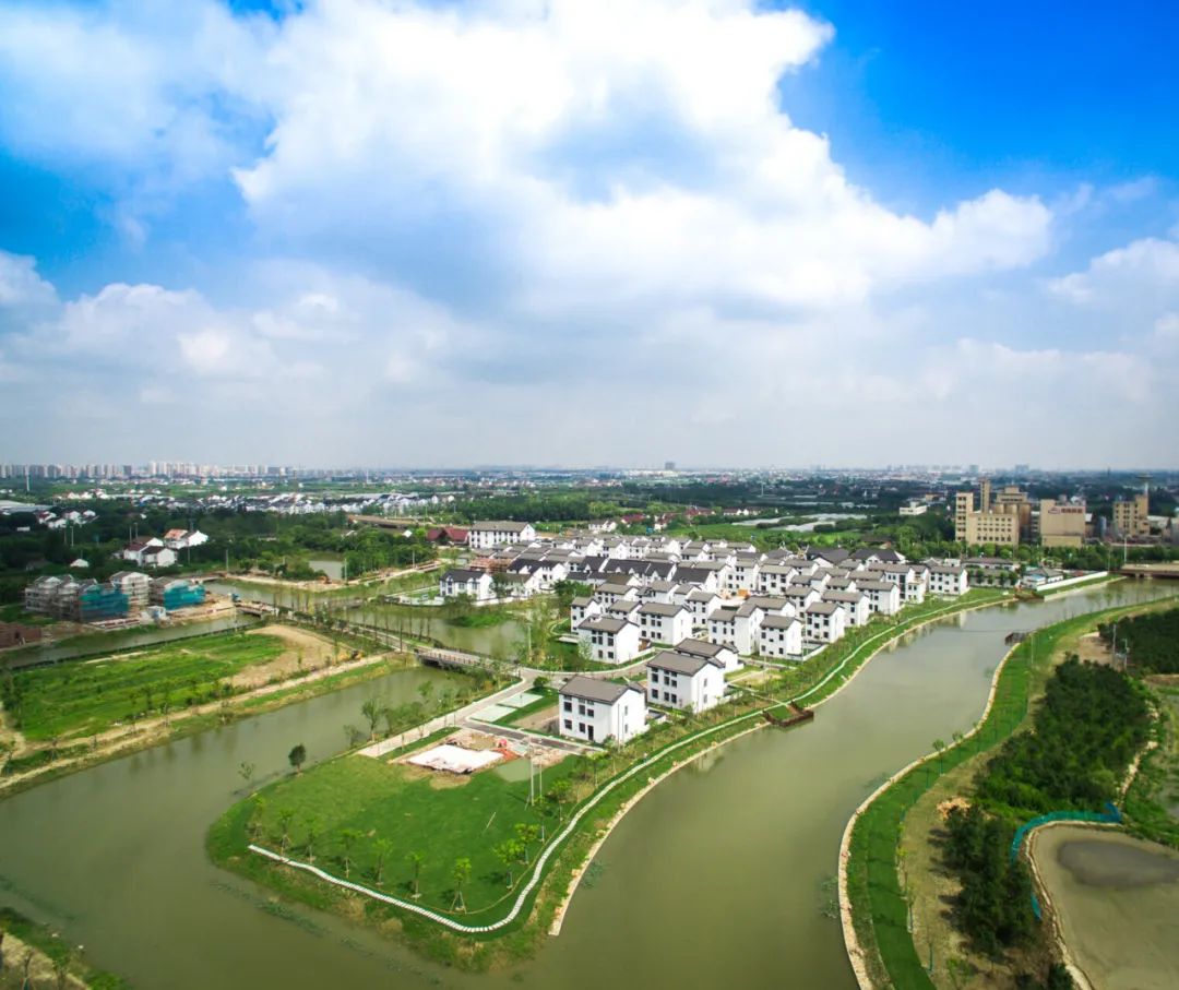 华漕镇许浦村,浦江镇革新村等焕然一新,成为了乡村振兴的示范模板.