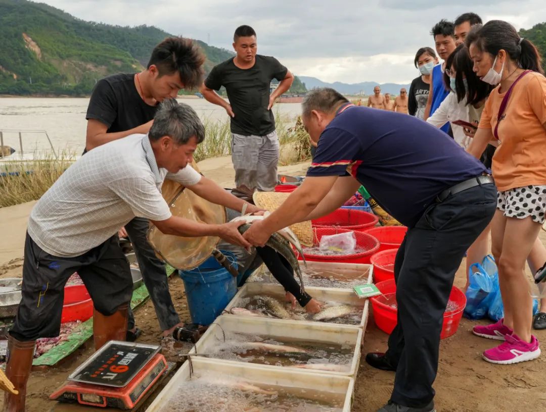 肇庆开渔啦快来品头啖鲜