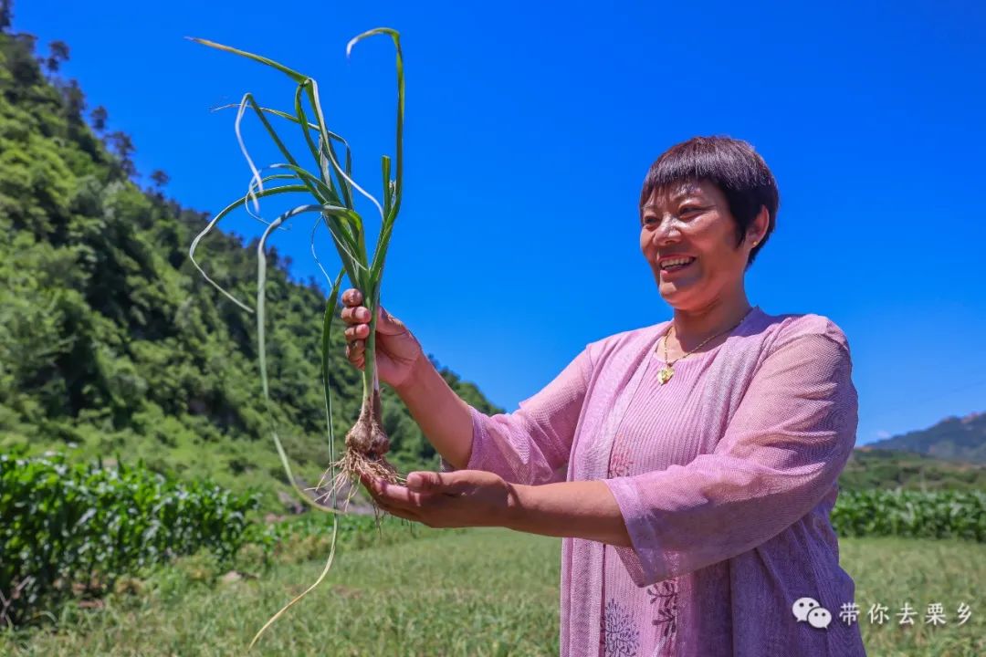 狗牙蒜的美好"钱"景