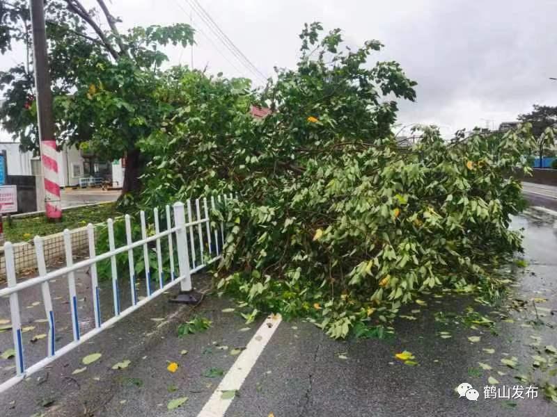 防汛iv级应急响应将防风iv级应急响应于7月3日8时鹤山市三防指挥部中