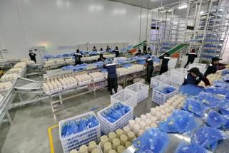 签约重点项目282个总投资1610亿元!广西晒二季度招商引资成绩单