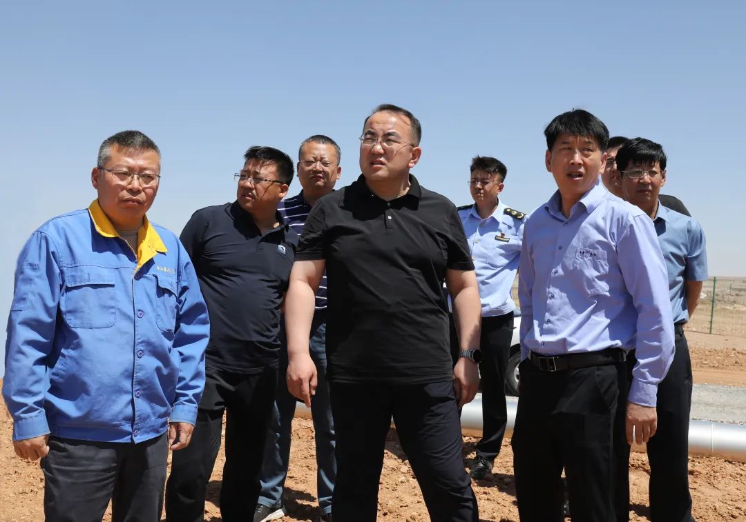 苏力德督导工矿企业安全生产工作