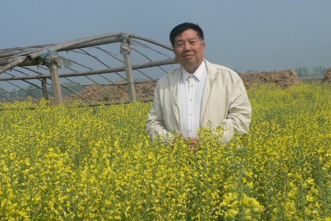 方智远厚朴如农甘蓝人生