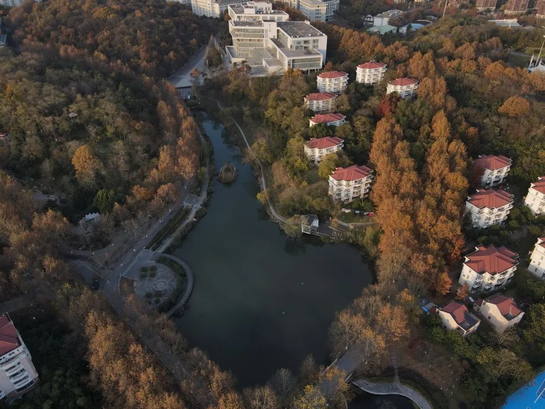 校園俯瞰領略那熟悉又陌生的高空美景俯瞰這片朝夕相處的校園離開地面