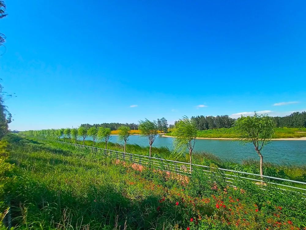 松阳河湿地公园图片