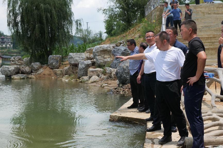 杨坚带队调研小城镇建设发展大会建设项目推进情况