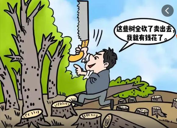 月,在未办理林木采伐许可证的情况下,在荔波县朝阳镇母点砍伐并出售